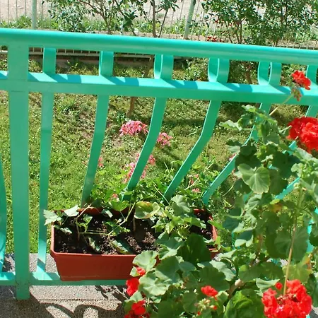 Hasanovic_apartmani Daire Hrasnica